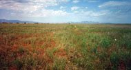 Salt Lake City Army Air Base Gunnery Range Picture 132